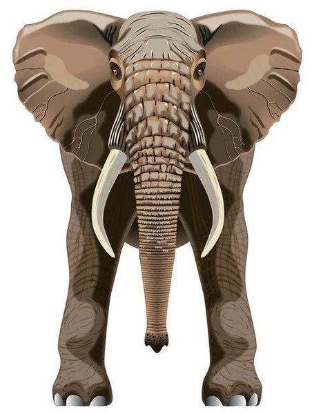 Latawiec BRAINSTORM - WNS SkyZoo 40x30" Nylon Elephant Latawiec BRAINSTORM - WNS SkyZoo 40x30" Nylon Elephant