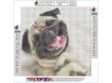 Haft Diamentowy, Obraz, Mozaika Diamentowa Diamond Painting, PIES MOPS 30x30cm Haft Diamentowy, Obraz, Mozaika Diamentowa Diamond Painting, PIES MOPS 30x30cm