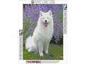 Haft Diamentowy, Obraz, Mozaika Diamentowa Diamond Painting, PIES SAMOYED 30x40cm Haft Diamentowy, Obraz, Mozaika Diamentowa Diamond Painting, PIES SAMOYED 30x40cm