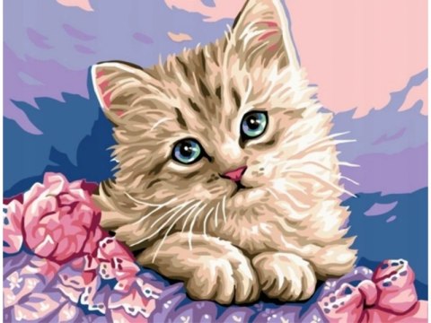 OBRAZ MALOWANIE PO NUMERACH RAMA 50x40cm UROCZY KOTEK OBRAZ MALOWANIE PO NUMERACH RAMA 50x40cm UROCZY KOTEK