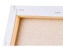 OBRAZ MALOWANIE PO NUMERACH RAMA 50x40cm UROCZY KOTEK OBRAZ MALOWANIE PO NUMERACH RAMA 50x40cm UROCZY KOTEK