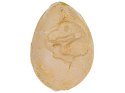 Wykopaliska Archeologiczne, JAJKO Z DINOZAUREM, Mały Archeolog, Zestaw Przecena 1 Wykopaliska Archeologiczne, JAJKO Z DINOZAUREM, Mały Archeolog, Zestaw Przecena 1