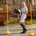 Zestaw Skippi - Hobby Horse Gniado - srokaty i przeszkoda do skakania 135 cm Zestaw Skippi - Hobby Horse Gniado - srokaty i przeszkoda do skakania 135 cm
